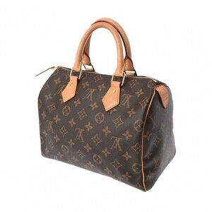 Louis Vuitton Handbag Brown Canvas Speedy Monogram